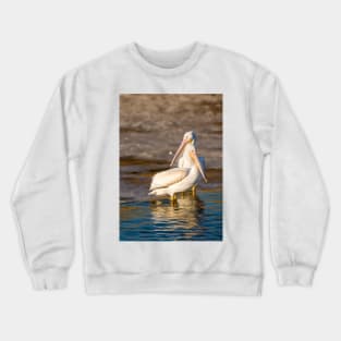 Pelican Togetherness by Debra Martz Crewneck Sweatshirt